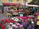 Nice marché aux fleurs